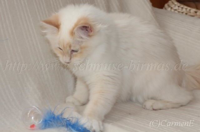 IMG_4542 Gro�e Webansicht-20131124