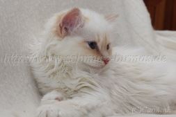 IMG_5193-20131215-20131215