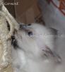 IMG_5262 Groe Webansicht