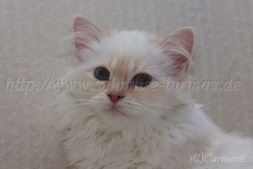 IMG_5428-20131222