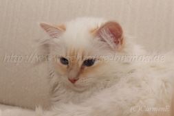 IMG_5470-20131222