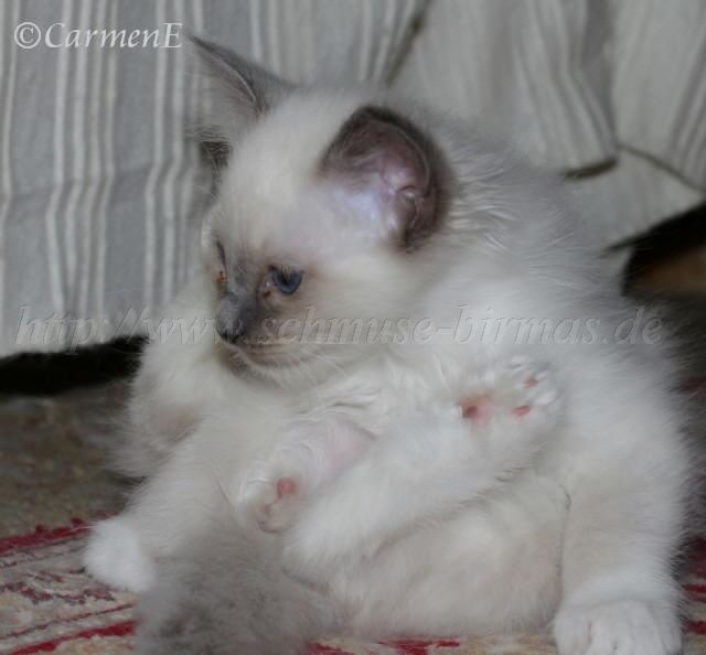 IMG_5760 Groe Webansicht