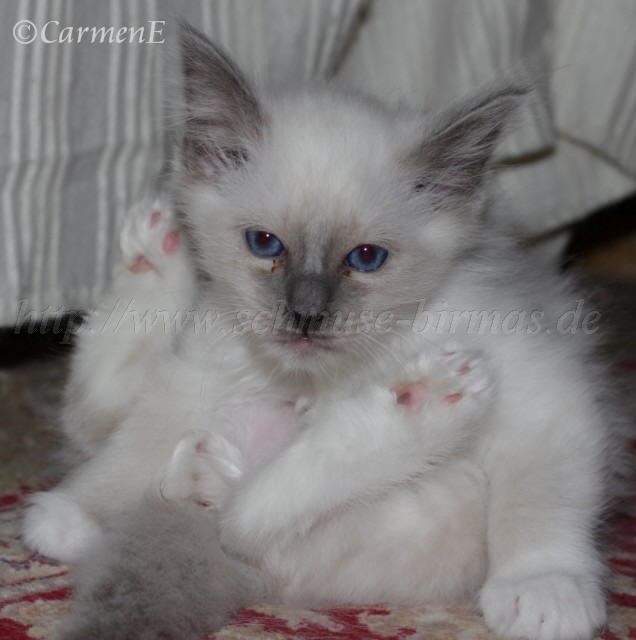 IMG_5763 Gro�e Webansicht