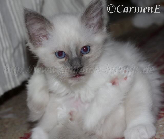 IMG_5766 Gro�e Webansicht