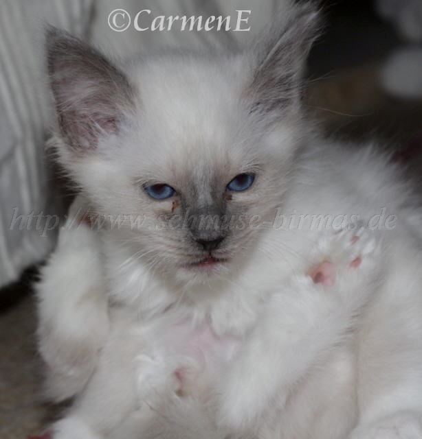 IMG_5767 Groe Webansicht