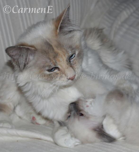 IMG_5798 Groe Webansicht