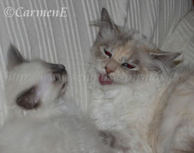 IMG_5802 Groe Webansicht