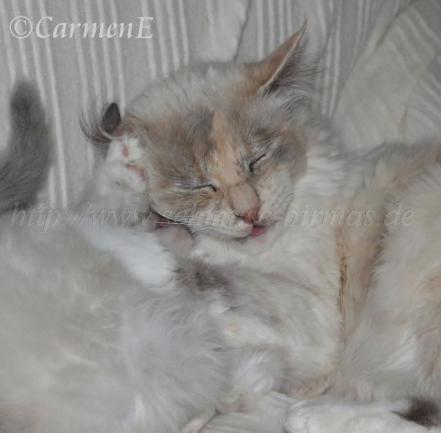 IMG_5808 Groe Webansicht