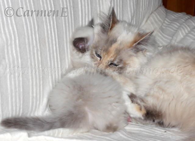 IMG_5815 Groe Webansicht