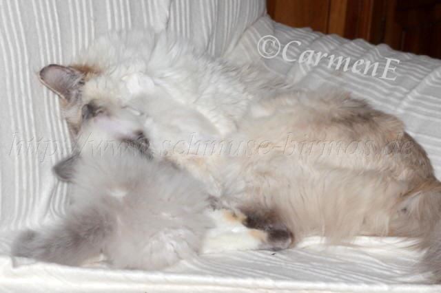 IMG_5816 Groe Webansicht