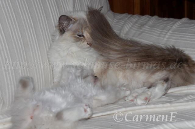 IMG_5835 Groe Webansicht