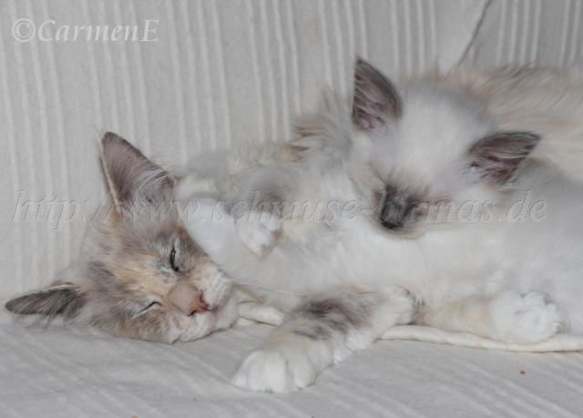 IMG_5848 Groe Webansicht