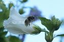 IMG_8543 1000x666