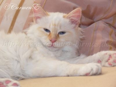 Kopie von -01-07 004 Gro�e Webansicht