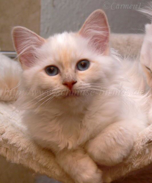 P1160214 Groe Webansicht