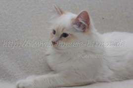 Prinzessin_08 Groe Webansicht
