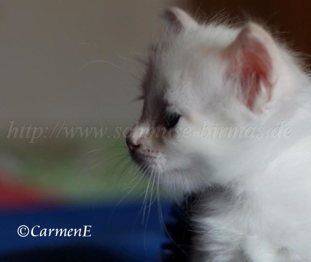 Prinzessin_09 Groe Webansicht