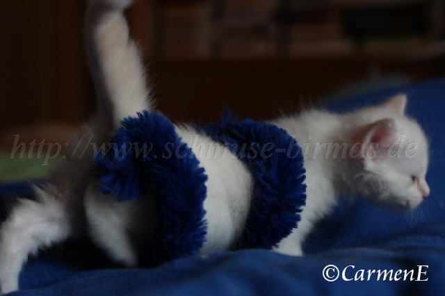 Prinzessin_12 Groe Webansicht