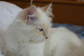 Prinzessin_4 Groe Webansicht