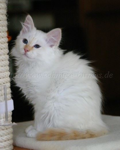 floris0209_2 Gro�e Webansicht04